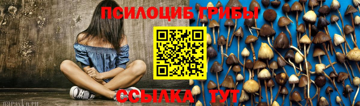Галлюциногенные грибы GOLDEN TEACHER  Вход с VPN  Дзержинский  Псилоцибиновые грибы мухоморы 